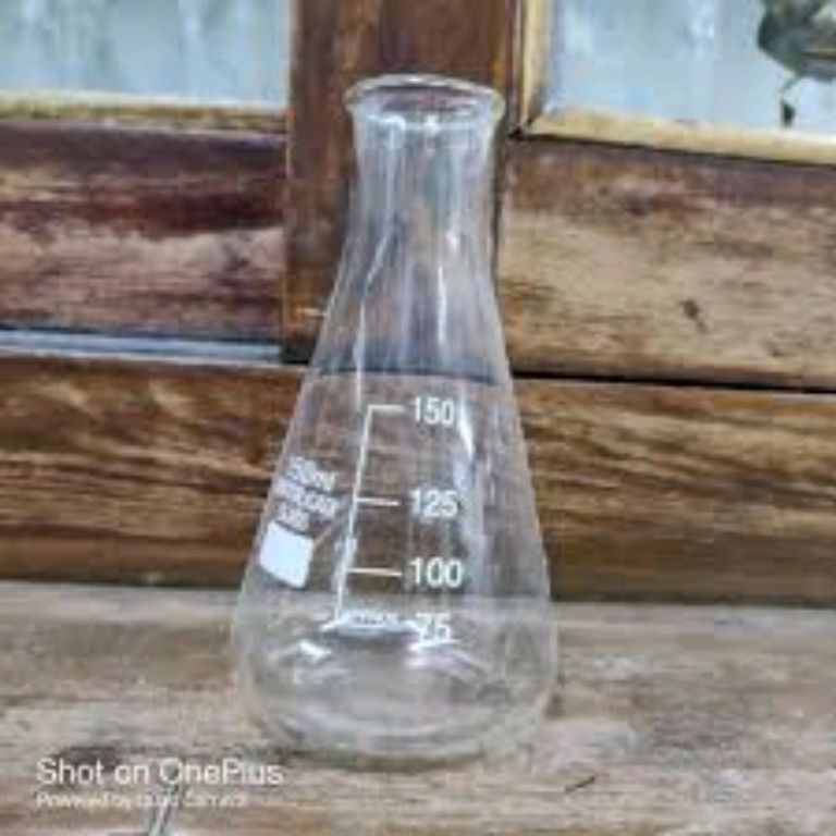 Laboratory Conical Flask By Scantrik