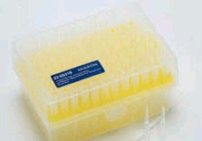 IMG_20240812_26882-1