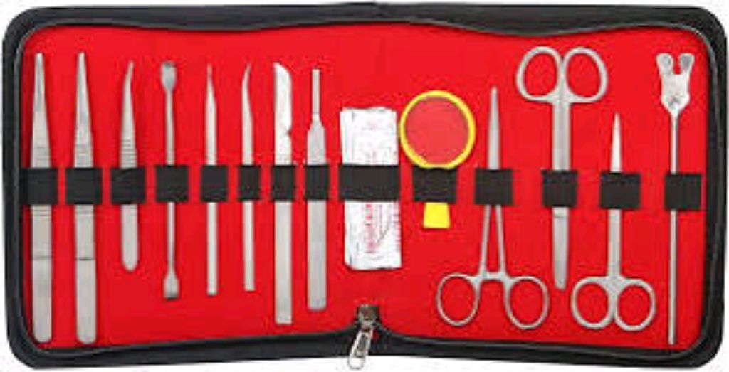 Dissecting Set For Anatomy By Scantrik