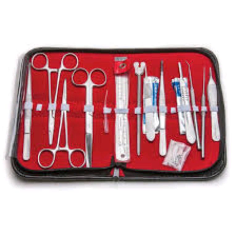 Dissecting Set For Microscopy By Scantrik