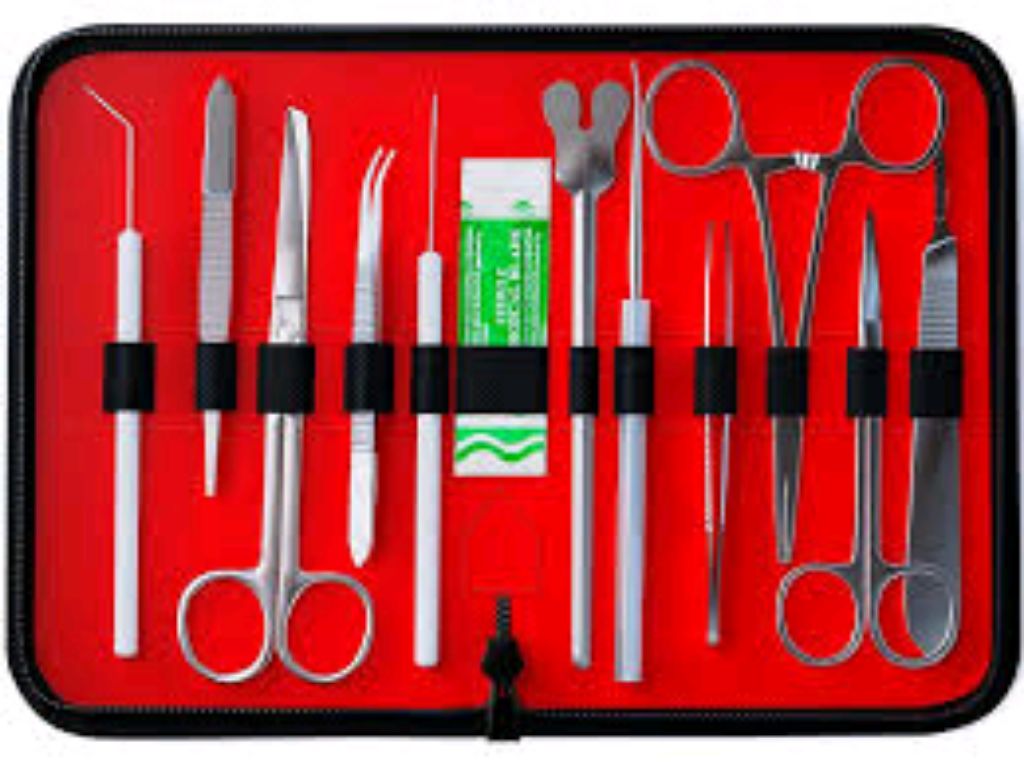 Medical Student Dissecting Tool By Scantrik