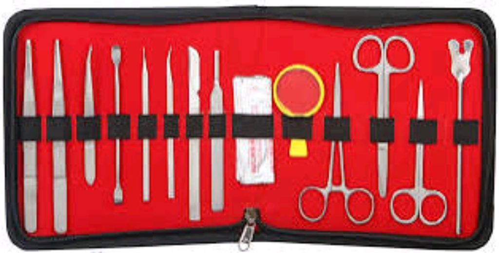 Dissecting Set by Scantrik