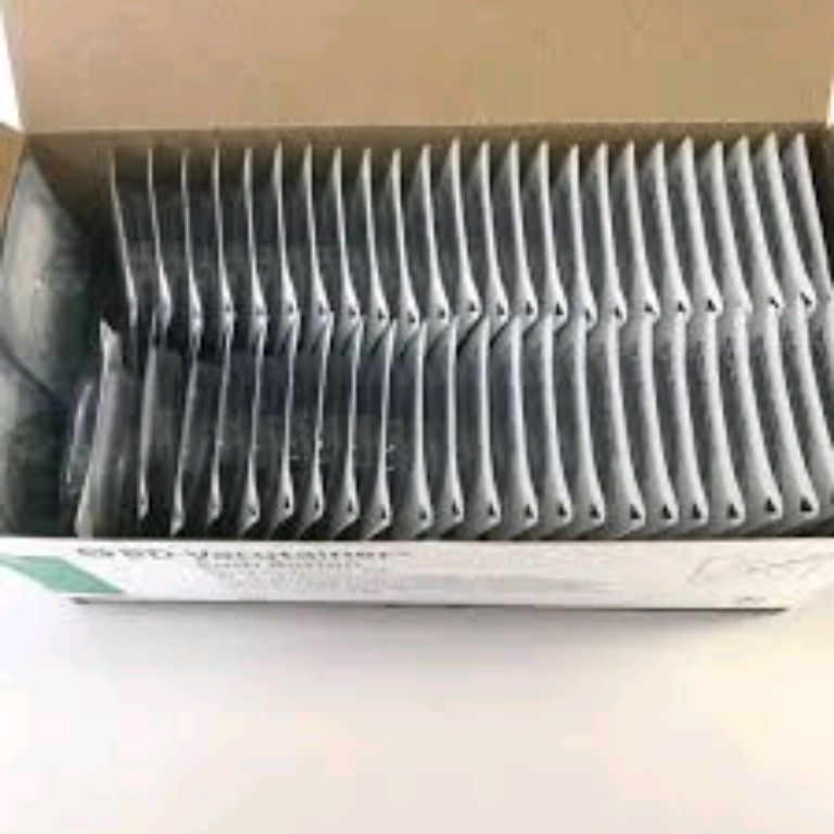 Blood Collection BD Vacutainer by Scantrik