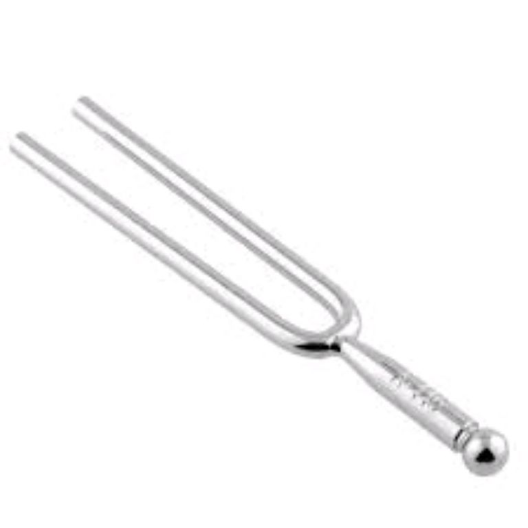 Stainless Steel Tuning Fork By Scantrik