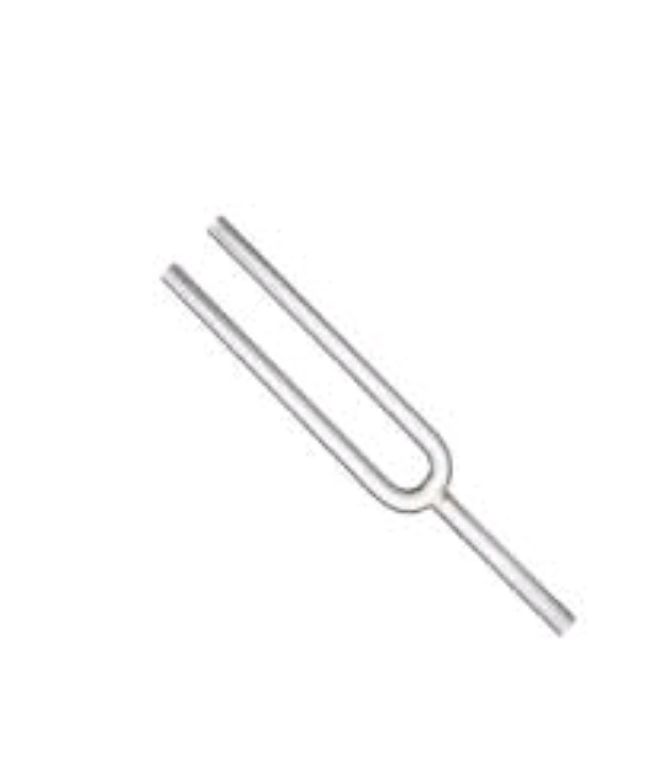 Stainless Steel Tuning Fork By Scantrik