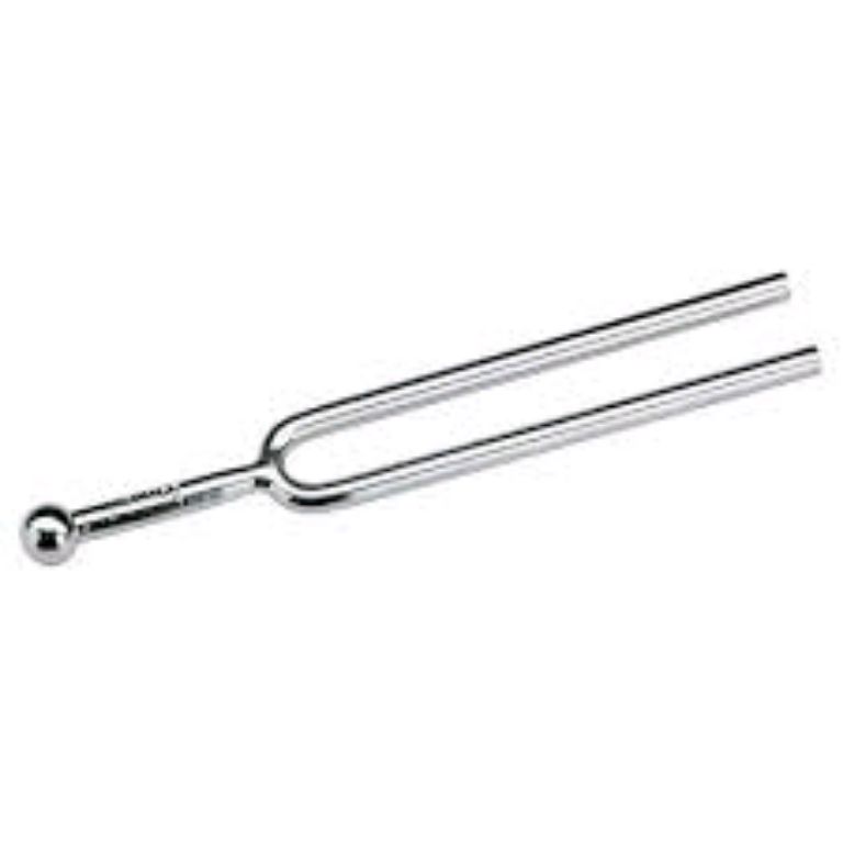 Stainless Tuning Fork By Scantrik
