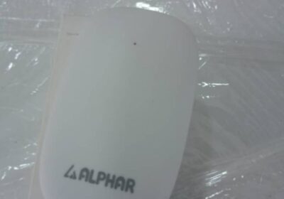 IMG_20240821_29747-1