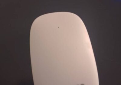 IMG_20240821_31384-4