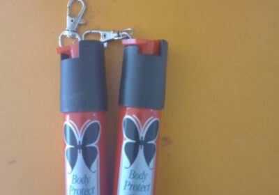 IMG_20240821_43525-1