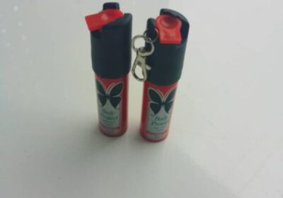 IMG_20240821_46407-1