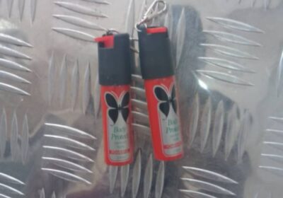 IMG_20240821_47723-1