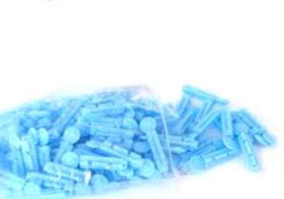 IMG_20240822_12524-1