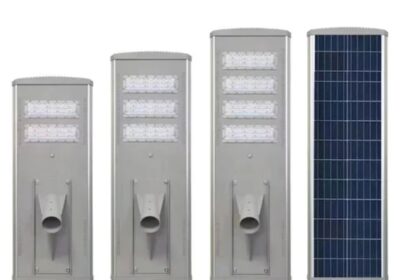 IMG_20240823_11380-1