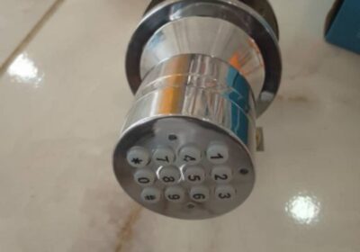 IMG_20240823_20216-2