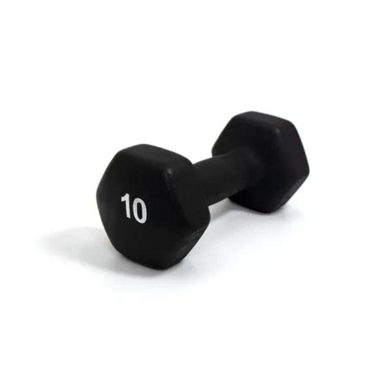 Generic 2 PCs Of 10kg Dumbbell By Scantrik