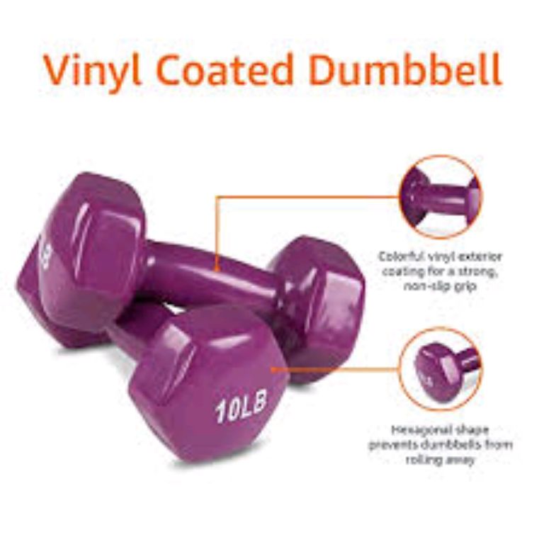 10kg 2pcs Of Dumbbell By Scantrik