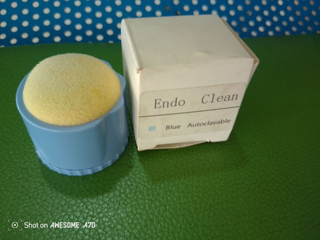 Endo Clean Stand by Scantrik