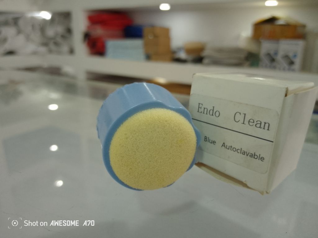 Endo Cleaner By Scantrik