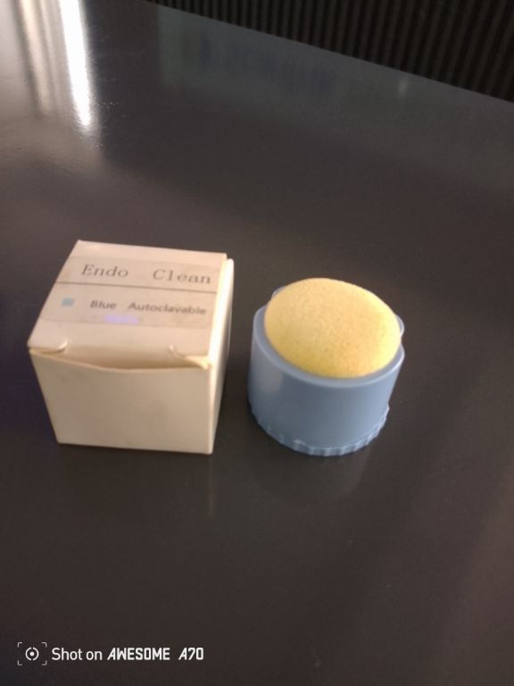Dental Round Endo Clean By Scantrik