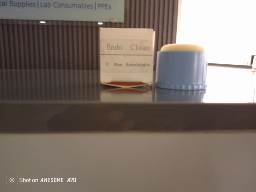 Endo Clean Holder By Scantrik