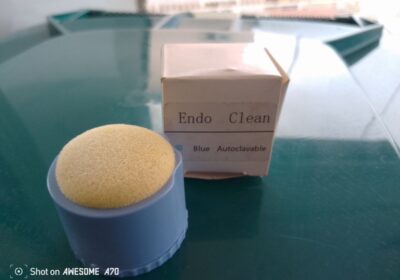 IMG_20240830_6669
