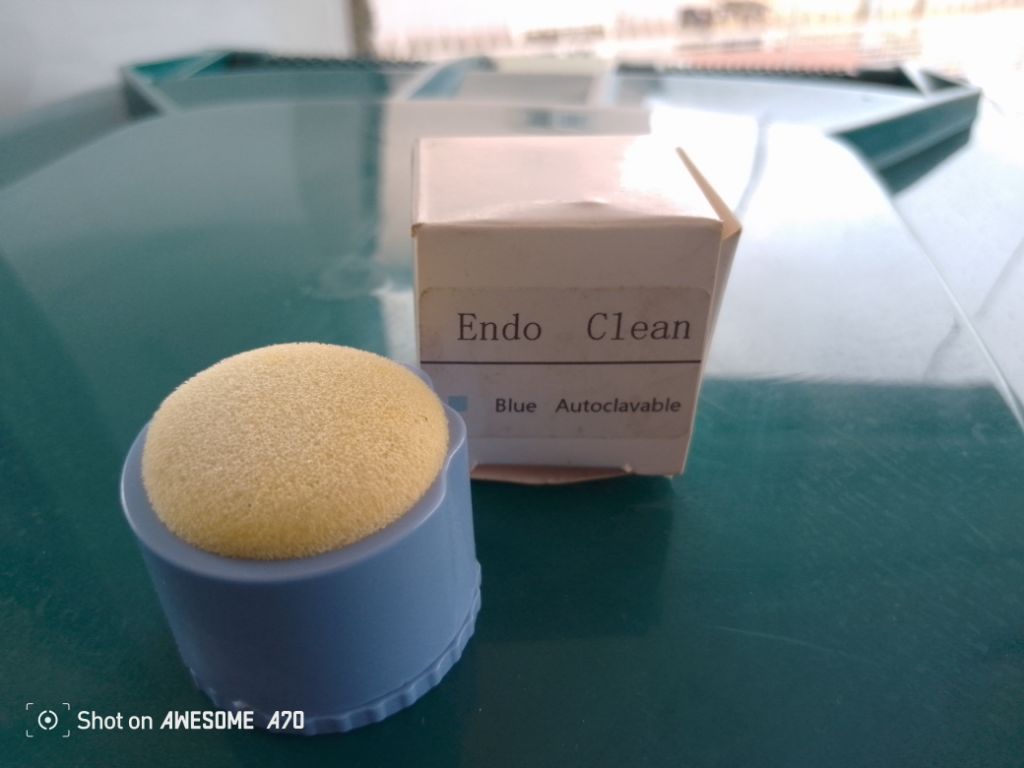 Dental Autoclavable Endo Clean By Scantrik