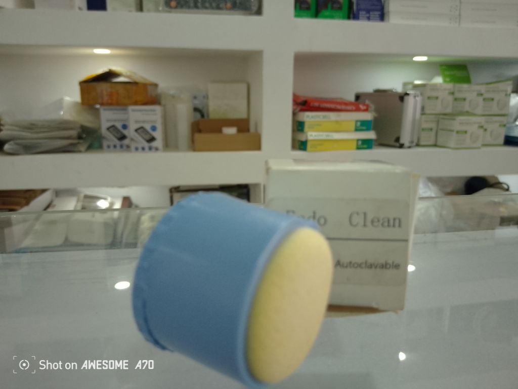 Endo Clean File Dental By Scantrik