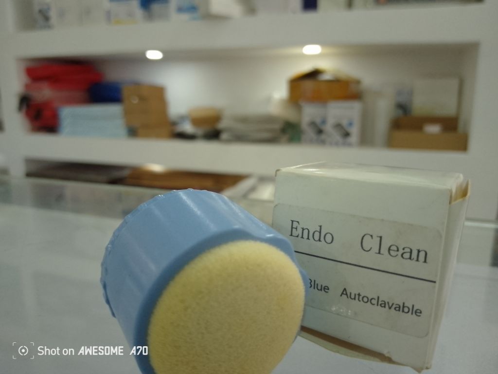 Autoclavable Endo Clean By Scantrik