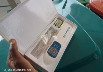 IMG_20240905_12691-1