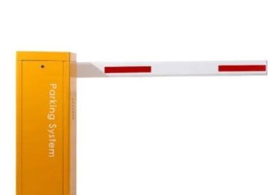 IMG_20240905_58560-1