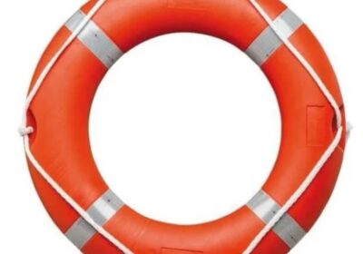 IMG_20240907_29479