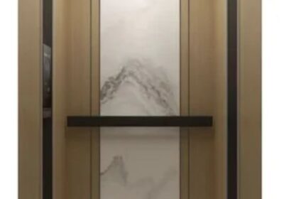 wood-decorations-home-elevator