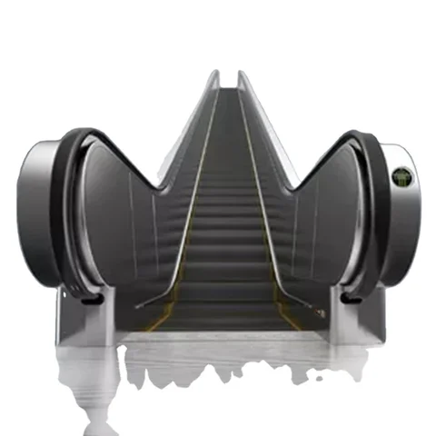 Moving walkway escalator by home lift elevator