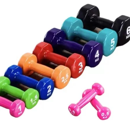 Dumb bell gym gear 1kg by Scantrik