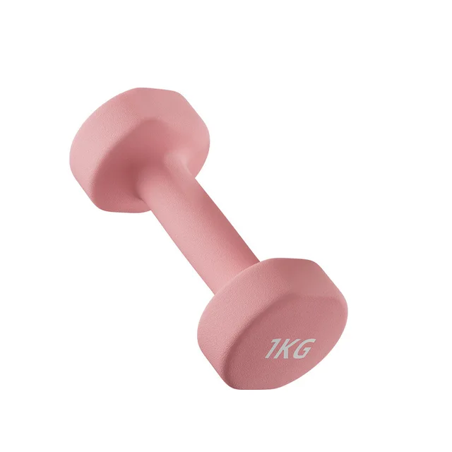 Hand weight dumb bell 1kg by Scantrik