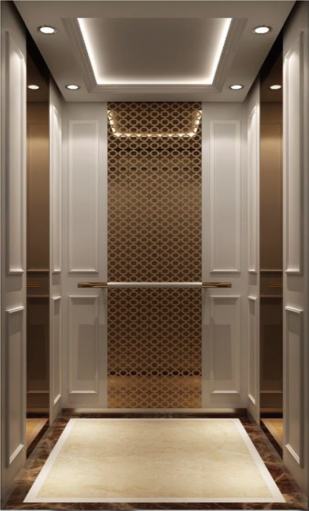 High Quality Hotel Lift by Home Lift Elevator