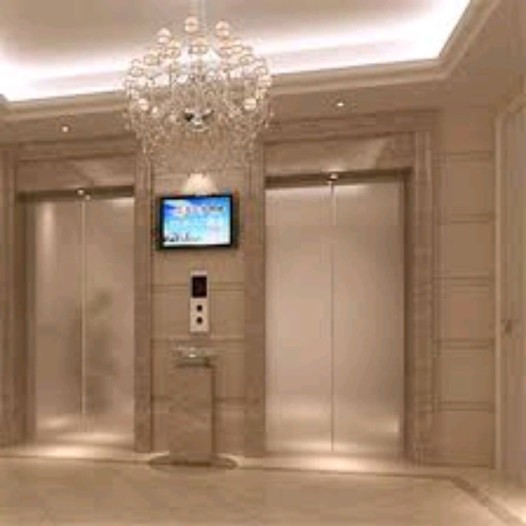Stainless Steel Hotel Lift by Hiphen