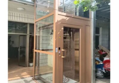 IMG_20241010_43927-1