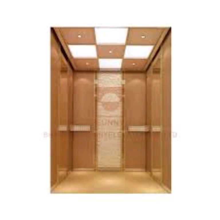 Professional Luxury Wooden Elevator by Hiphen