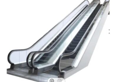 IMG_20241014_17528-1