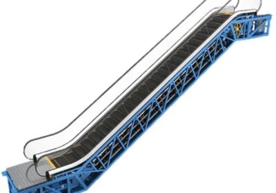 IMG_20241014_17938-1