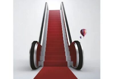 IMG_20241014_19169-1