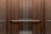 China wood luxury Decoration passenger Elevator by Hiphen