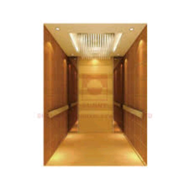Luxurious elevator cabin decoration By Hiphen