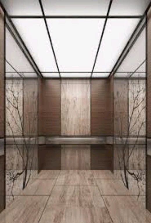 Wooden Luxury Passenger Elevator by Hiphen