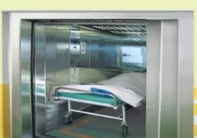 IMG_20241017_36294-2