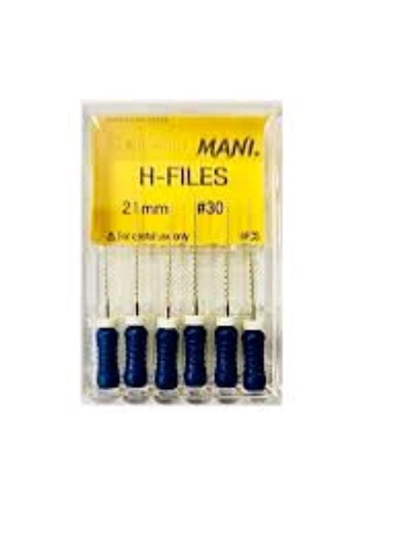Stainless Steel H File Mani by Scantrik