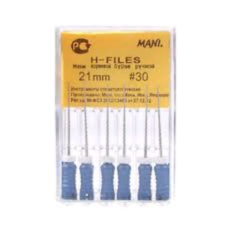 Mani H File dental by Scantrik