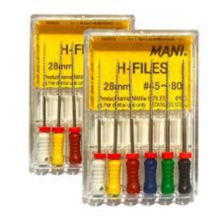 Endodontic Mani H file by Scantrik