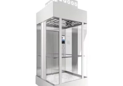 IMG_20241021_31205-1